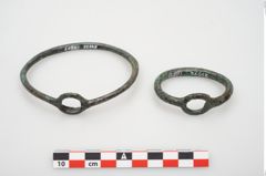 Foto von Bronzering (NHMW-PRAE-024572)